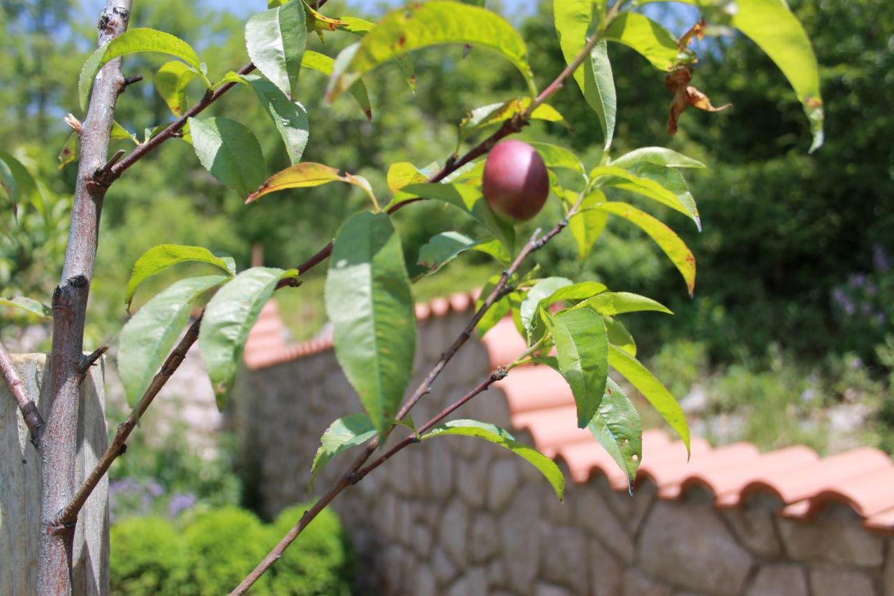 Villa Sojat Crikvenica Exterior foto